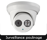 Caméra surveillance poulinage